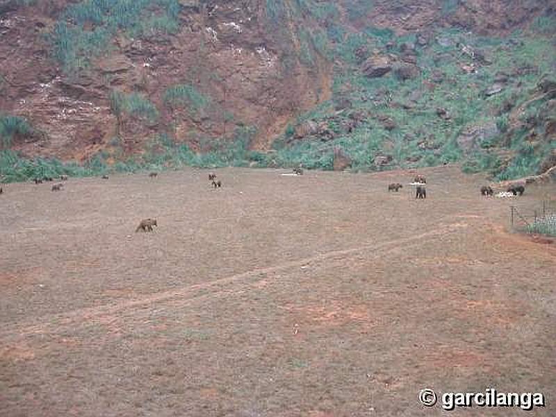 Parque Natural de Cabárceno