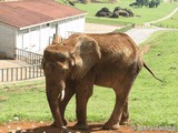 Parque Natural de Cabárceno