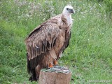 Parque Natural de Cabárceno