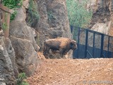 Parque Natural de Cabárceno