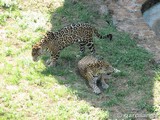 Parque Natural de Cabárceno