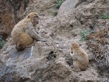 Parque Natural de Cabárceno