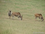 Parque Natural de Cabárceno