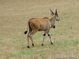 Parque Natural de Cabárceno