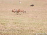 Parque Natural de Cabárceno