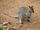 Parque Natural de Cabárceno