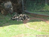 Parque Natural de Cabárceno