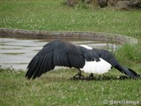 Parque Natural de Cabárceno