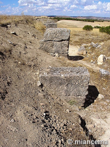 Cerro de La Muela