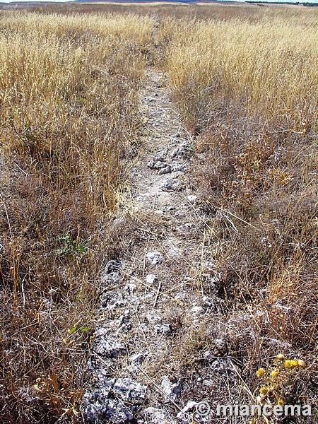 Cerro de La Muela