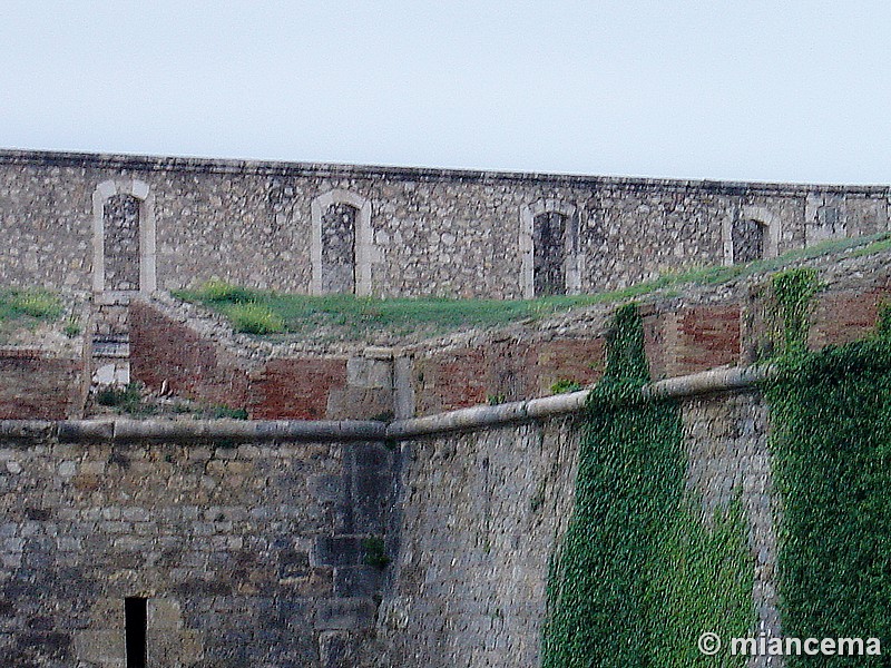 Castillo de San Fernando