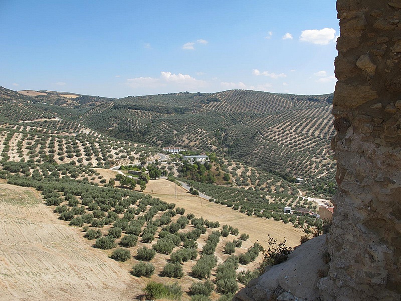 Castillo de Zagra