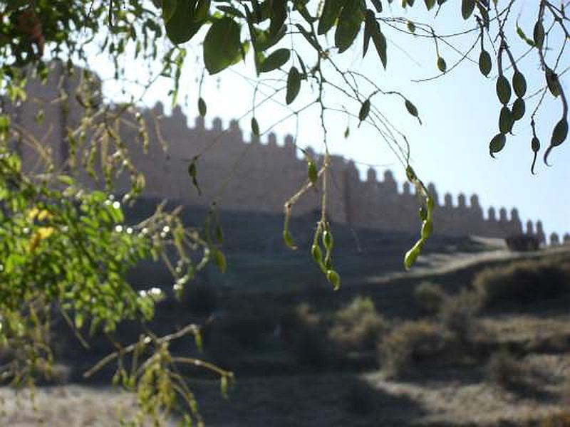 Muralla urbana de Molina de Aragón