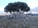 Torre de Sierra Ministra