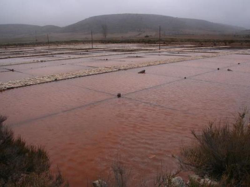 Salinas de Imón