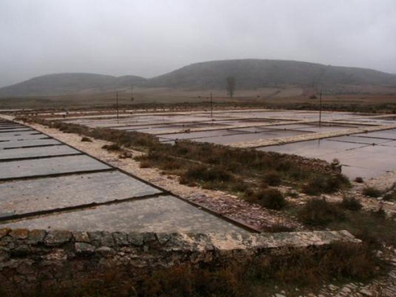 Salinas de Imón