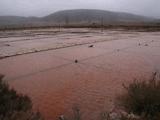 Salinas de Imón