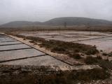 Salinas de Imón