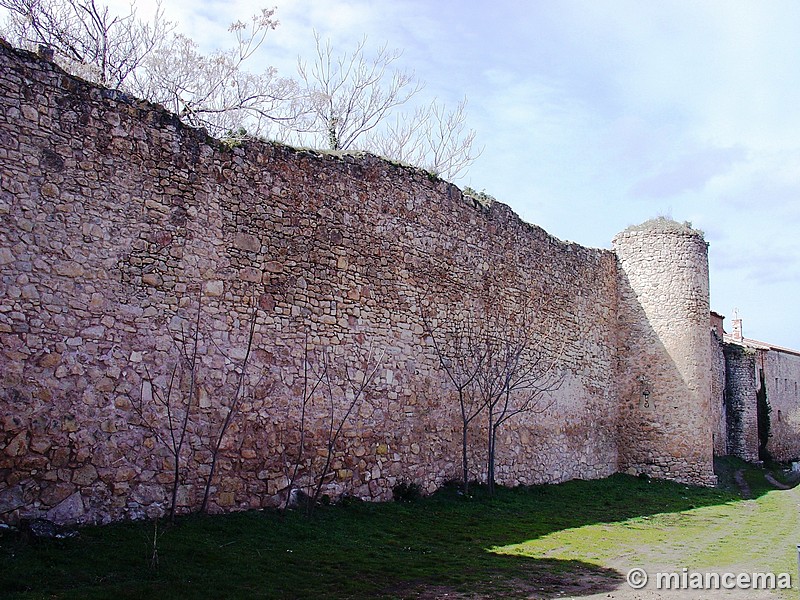 Muralla urbana de Palazuelos