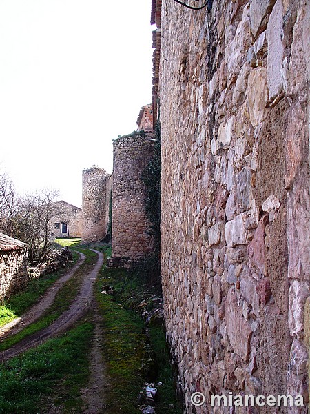 Muralla urbana de Palazuelos