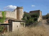 Muralla urbana de Palazuelos