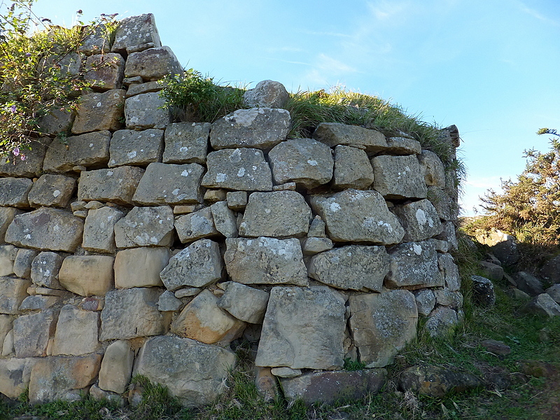 Fuerte de San Enrique