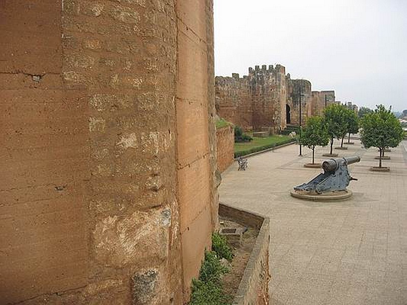 Muralla urbana de Niebla