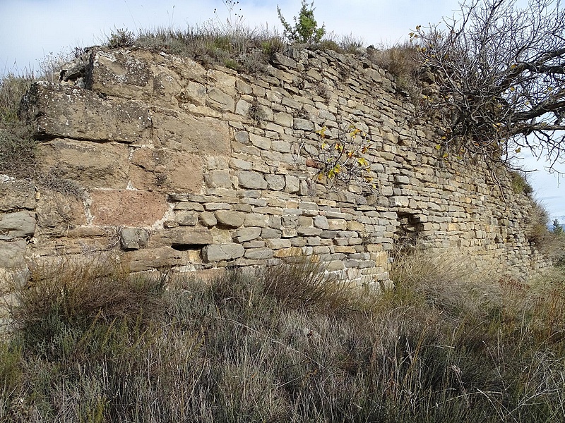 Castillo de Olsón