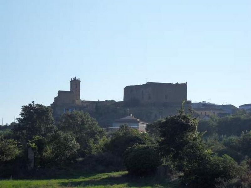 Castillo palacio de Argavieso