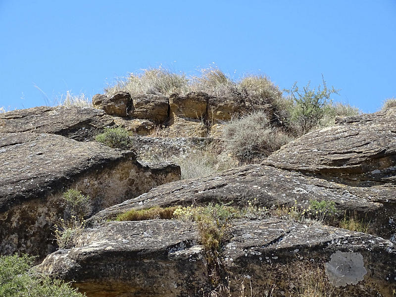 Los Torrazos