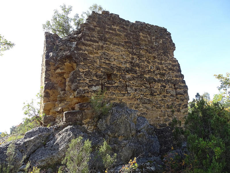 Torre de Monte Vira