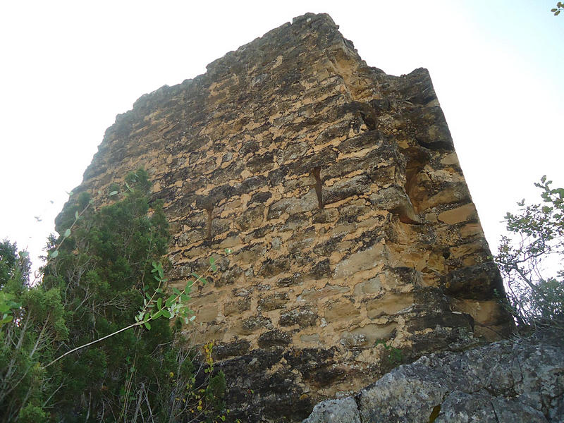 Torre de Monte Vira