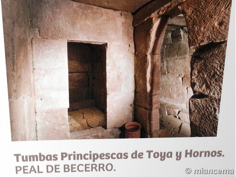 Cámara sepulcral ibérica de Toya