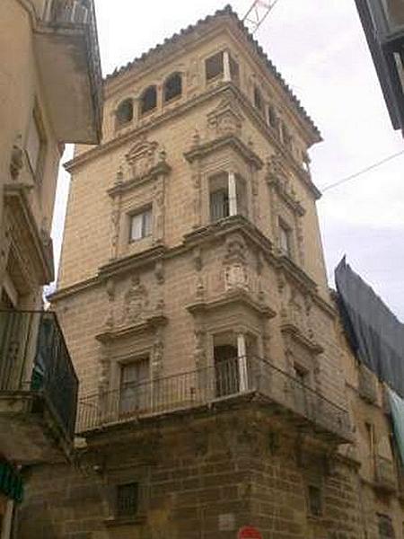 Palacio del Conde de Guadiana