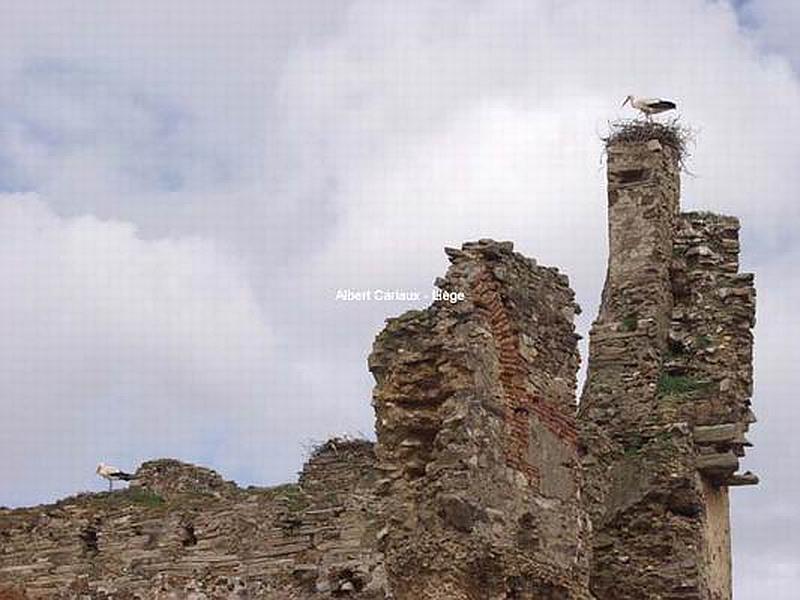 Castillo de Laguna de Negrillos