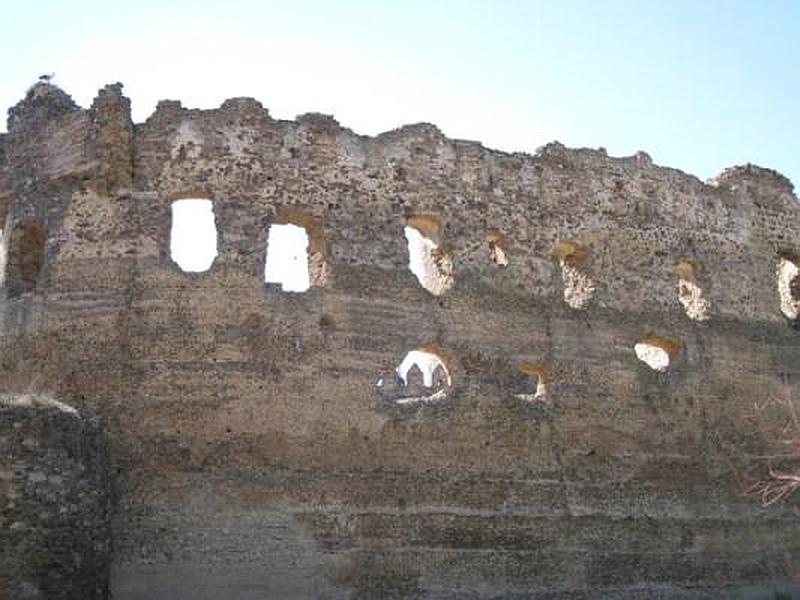 Castillo de Laguna de Negrillos