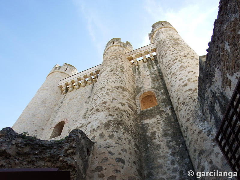 Castillo de Coyanza