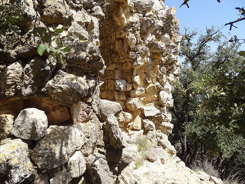 Castillo de Millà