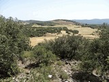 Castillo de Millà