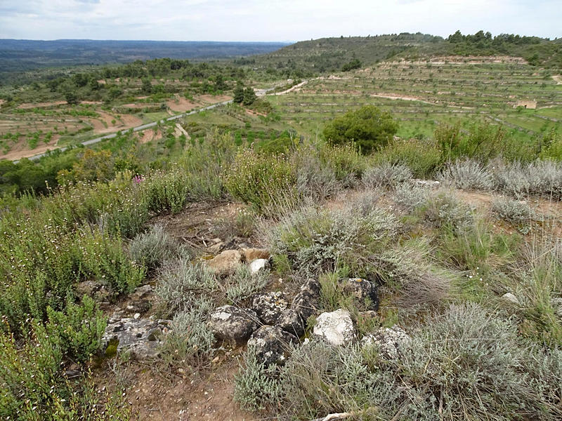 Torre de Vallseca