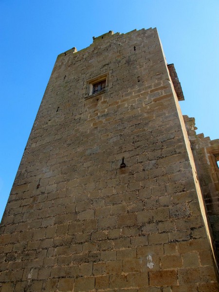 Castillo de Montfalcó d'Ossó