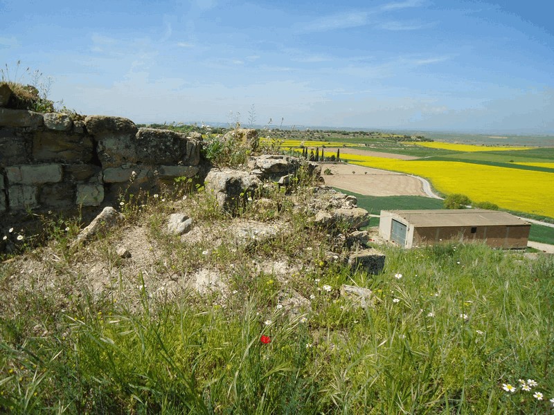 Castillo de La Figuerosa