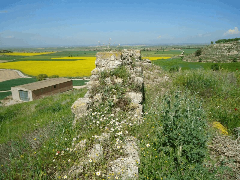 Castillo de La Figuerosa