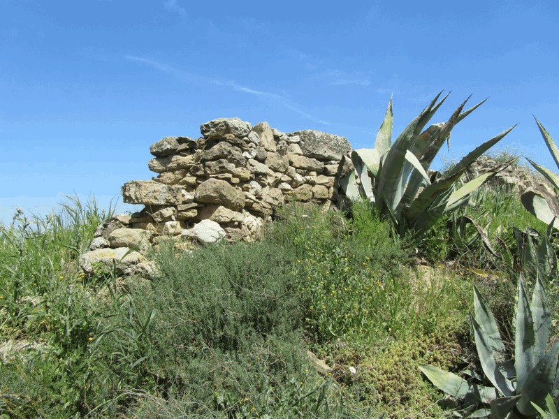 Castillo de La Figuerosa