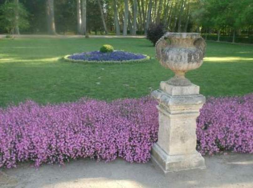 Jardín del Príncipe