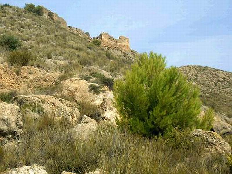 Castillo de Chuecos