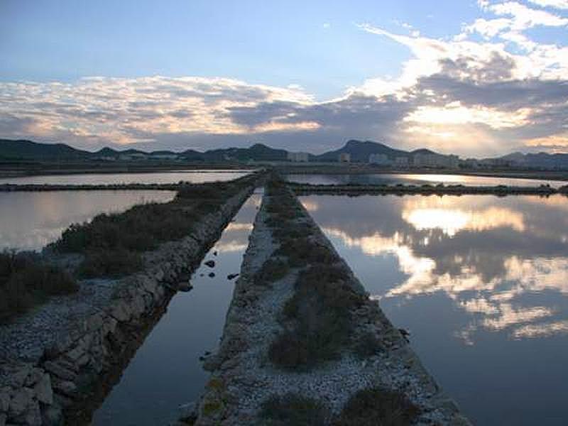 Salinas de Marchamalo