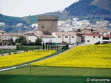 Torre de Olcoz