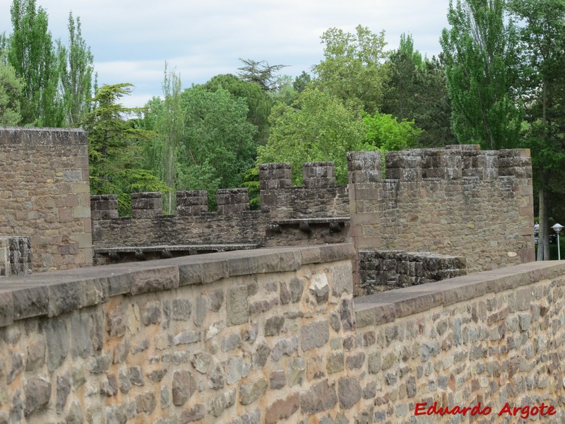 Castillo de Javier