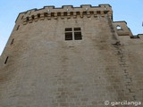 Castillo palacio de Olite